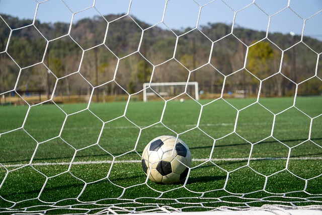 成为运动员 成为运动员