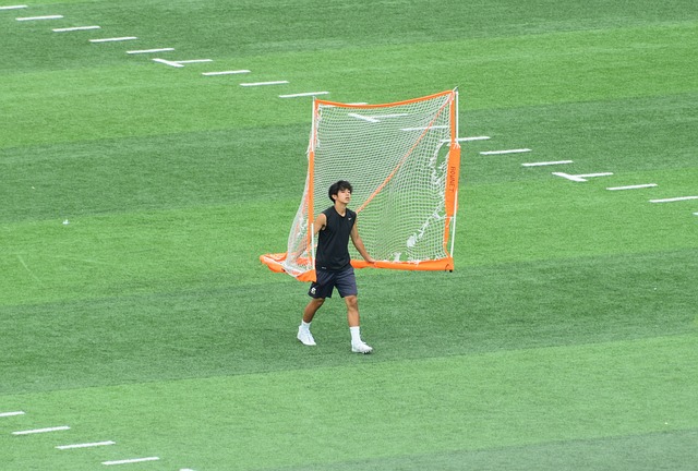 里戈和维尼
