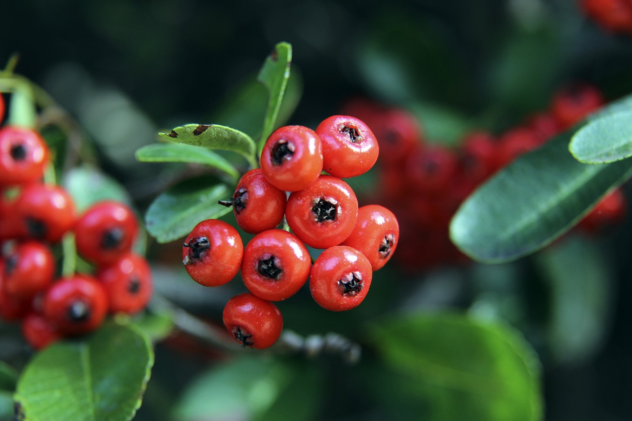 记住了姆巴 记住了姆巴