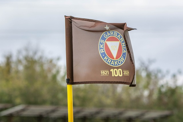 他们在场上 他们在场上