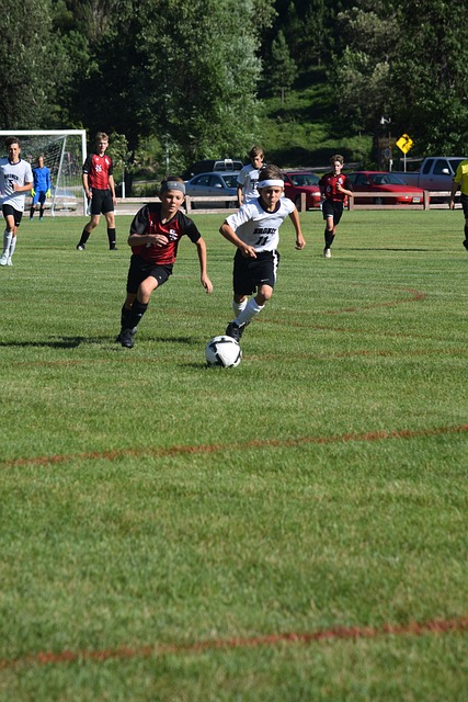 塞隆拿期间 塞隆拿期间