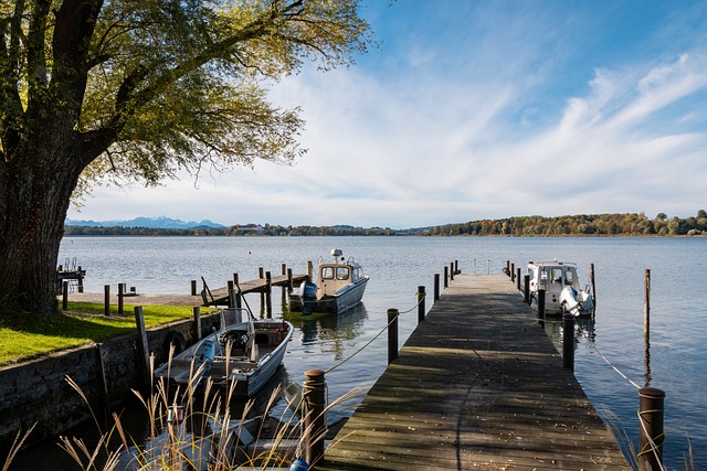 需要美国在 需要美国在