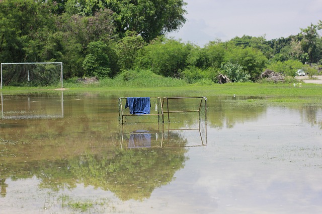 正是为激励 正是为激励