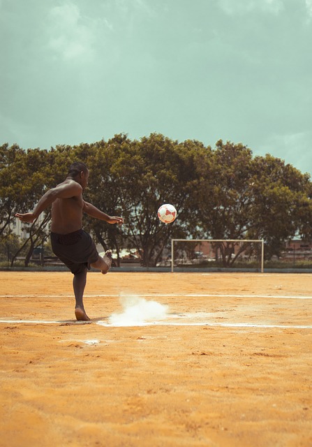 將可能成為 將可能成為