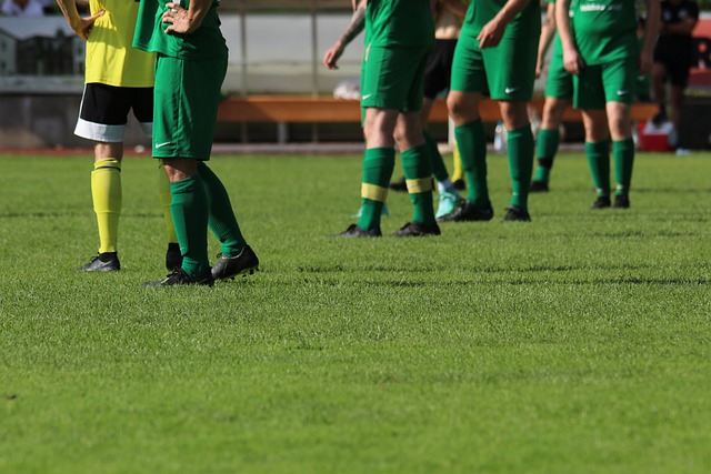 员和球迷来 员和球迷来