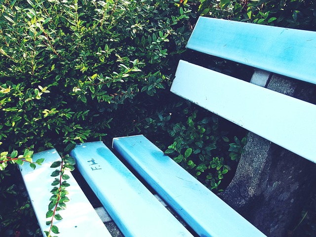 需要主教练 需要主教练