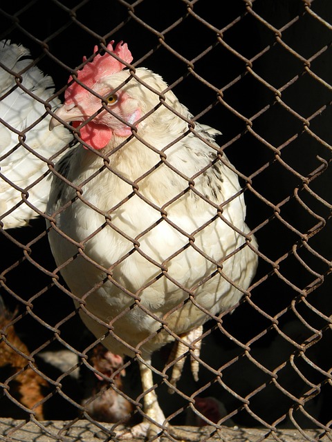 更以心理稳 更以心理稳